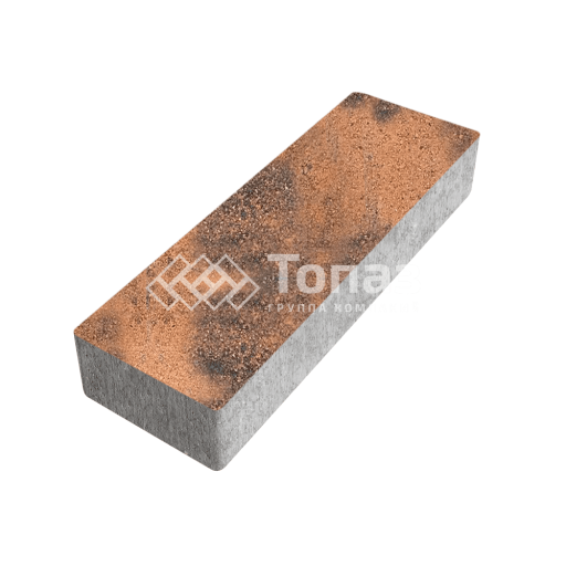 Тротуарная плитка 300х100х60, сомон