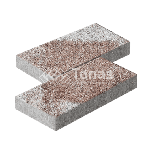 Тротуарная плитка 500х250х60, хаски на камне